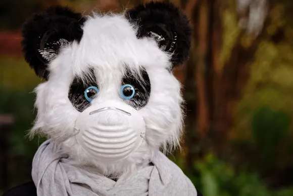 Unibet Casino Kundeservice